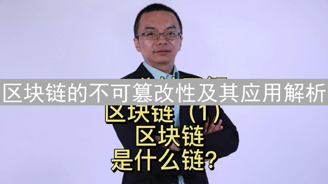 区块链的不可篡改性及其应用解析