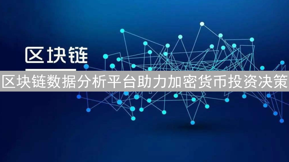 区块链数据分析平台助力加密货币投资决策