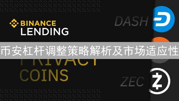 币安杠杆调整策略解析及市场适应性