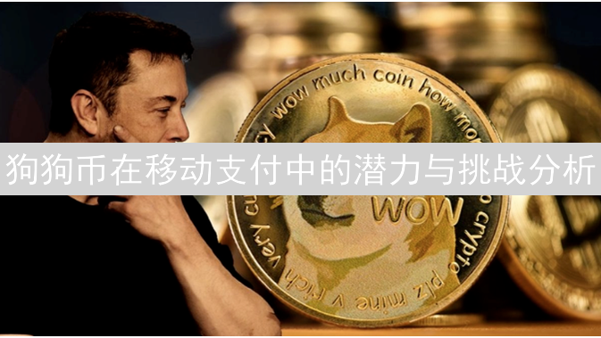 狗狗币在移动支付中的潜力与挑战分析