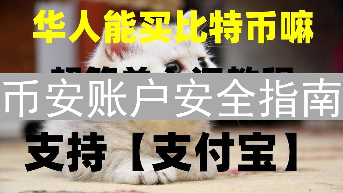 币安账户安全指南：构建坚如磐石的数字资产防线