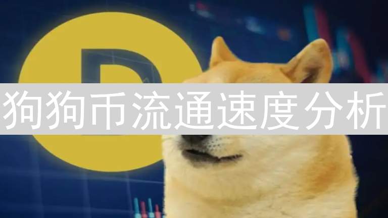 狗狗币流通速度分析：加密货币实用性探讨