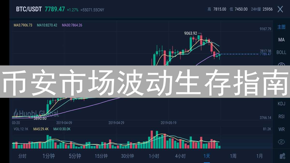 币安市场波动生存指南：策略与风险管理