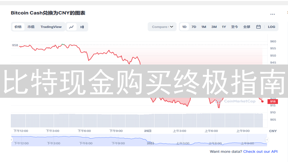 比特现金购买终极指南：最优支付方式选择策略解析