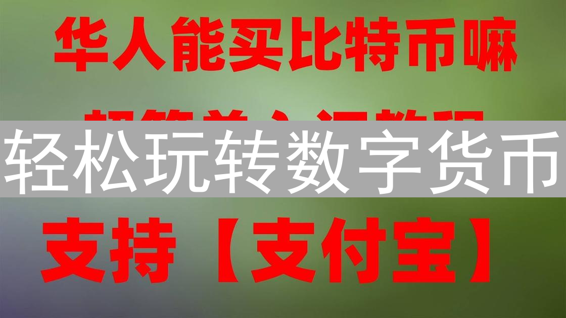 轻松玩转数字货币：法币充值全攻略与技巧分享