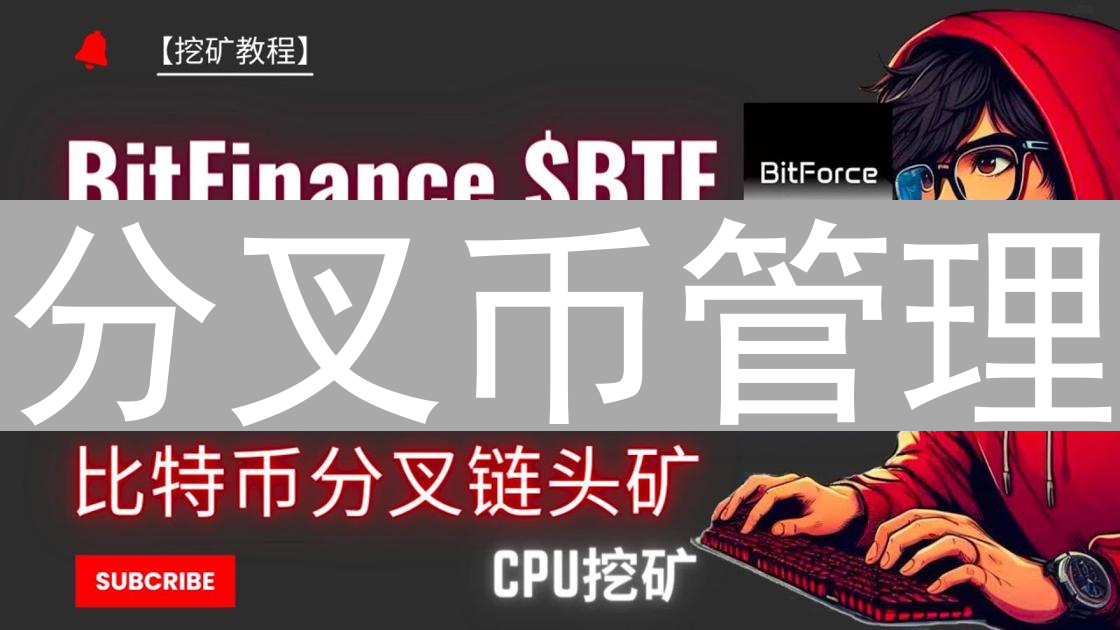分叉币管理：加密资产运营的精细策略与风险控制
