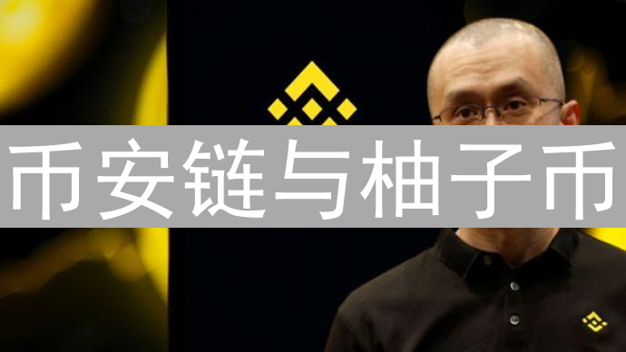 币安链与柚子币：公链技术路线的差异与竞争分析