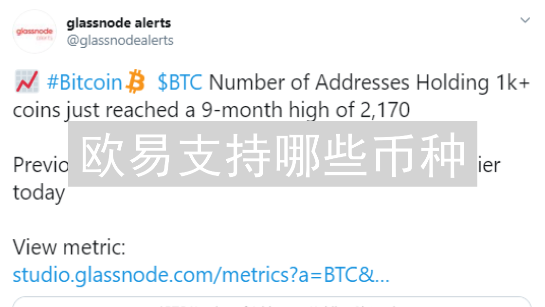 欧易支持哪些币种？解析其支付生态