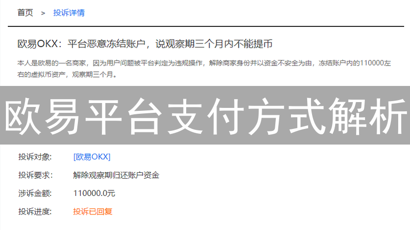 欧易平台支付方式解析：支付宝领衔，多元化选择满足用户需求