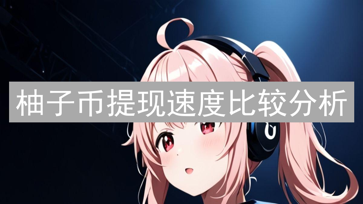 柚子币提现速度比较分析