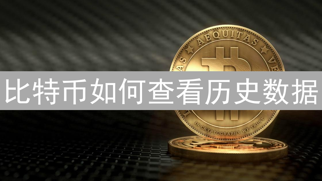 比特币如何查看历史数据