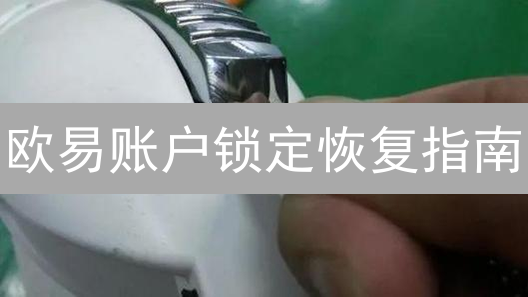 欧易账户锁定恢复指南：安全找回数字资产