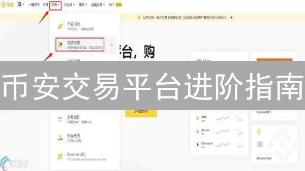 币安交易平台进阶指南：从入门到精通策略解析