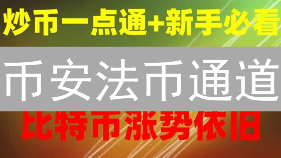 币安法币通道：轻松进入加密货币世界的桥梁
