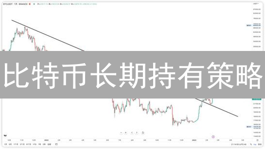 比特币长期持有策略：基于币安平台的稳健投资指南