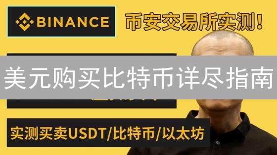 美元购买比特币详尽指南：方法、交易所选择与安全建议