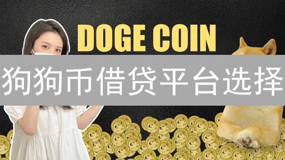 狗狗币借贷平台选择：如何在波动中寻求安全收益？