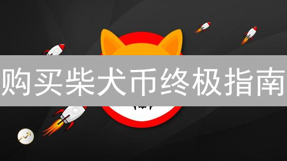 购买柴犬币终极指南：从入门到精通的完整步骤详解