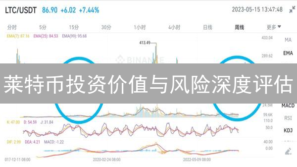 莱特币投资价值与风险深度评估：技术、市场与未来展望
