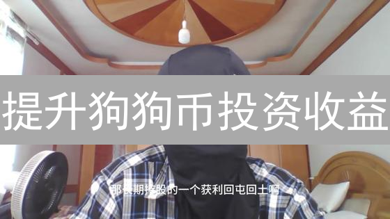 提升狗狗币投资收益：策略与风险洞察