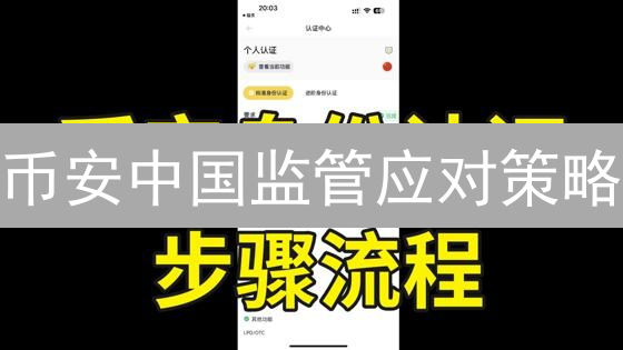 币安中国监管应对策略：合规与多元化发展之路