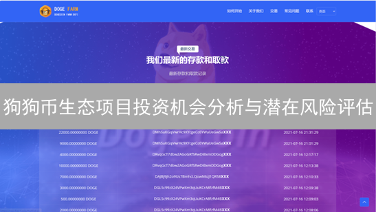 狗狗币生态项目投资机会分析与潜在风险评估