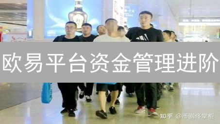欧易平台资金管理进阶：效率提升与策略优化