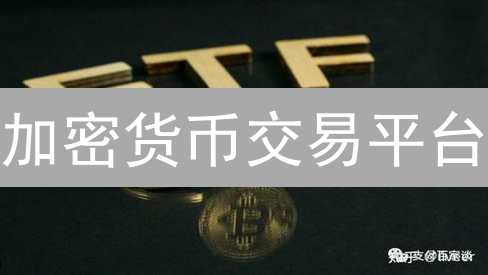 加密货币交易平台：用户选择与差异化竞争分析