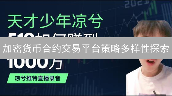 加密货币合约交易平台策略多样性探索：以策略金库为例