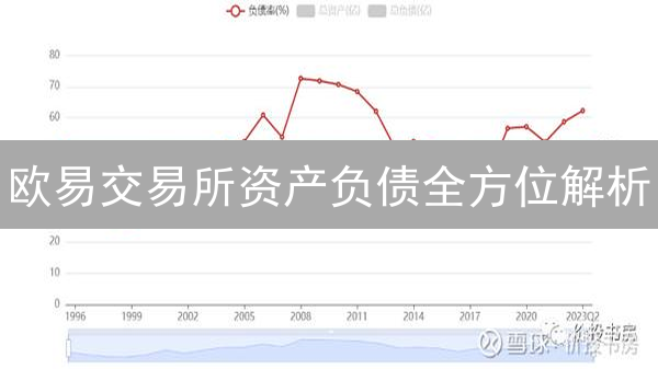 欧易交易所资产负债全方位解析：掌控全局的终极指南