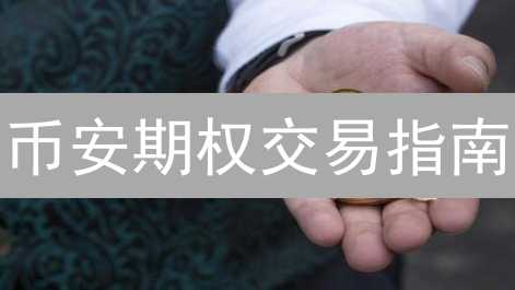 币安期权交易指南：入门、策略与风险管理