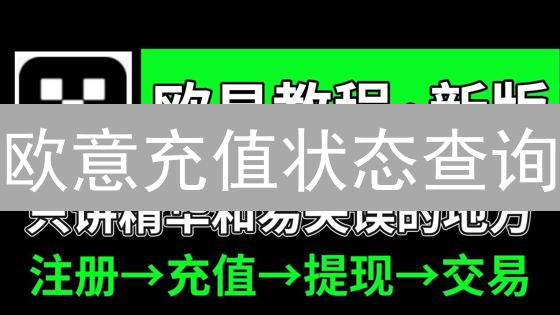 欧意充值状态查询：解密资金航程，掌控数字资产