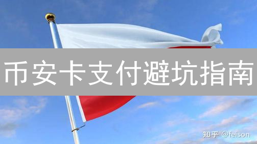 币安卡支付避坑指南：常见问题与解决方案深度解析