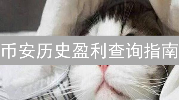 币安历史盈利查询指南：追踪交易表现，优化投资策略