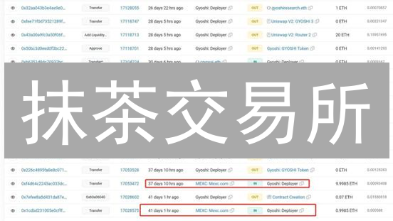 抹茶交易所：现货期货交易深度解析与策略指南