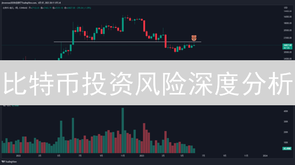 比特币投资风险深度分析：波动、监管与技术挑战