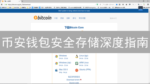 币安钱包安全存储深度指南：技巧与建议