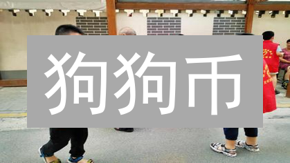 狗狗币：从模因到金融，探索其独特的金融角色