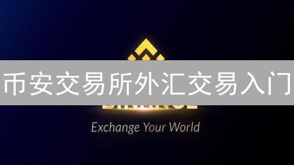 币安交易所外汇交易入门：数字资产汇率游戏指南