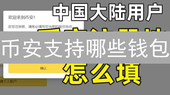 币安支持哪些钱包？选择指南与安全考量