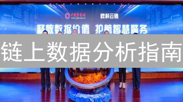 链上数据分析指南：工具选择与应用技巧