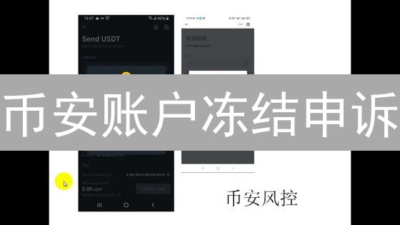 币安账户冻结申诉：原因分析与解冻策略