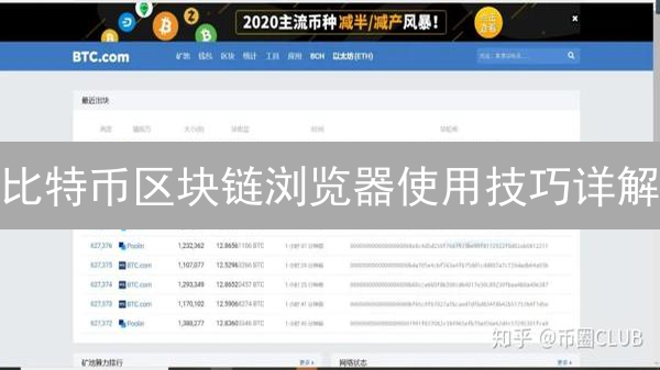 比特币区块链浏览器使用技巧详解：追踪交易与分析数据
