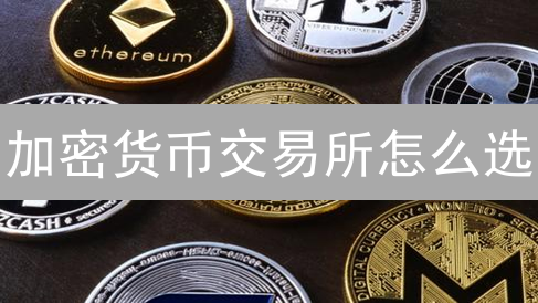 加密货币交易所怎么选？新手避坑指南，安全交易必备！