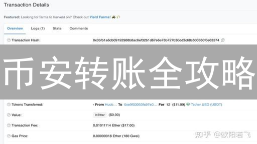 币安转账全攻略：新手必看！资金安全高效转移指南