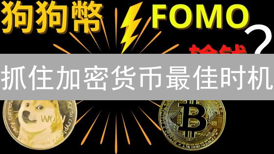 抓住加密货币最佳时机：像抓流沙一样徒劳？