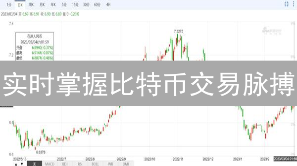 实时掌握比特币交易脉搏？五大方法揭秘！