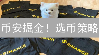 币安掘金！选币策略：新手也能赚的潜力币指南 (速看)