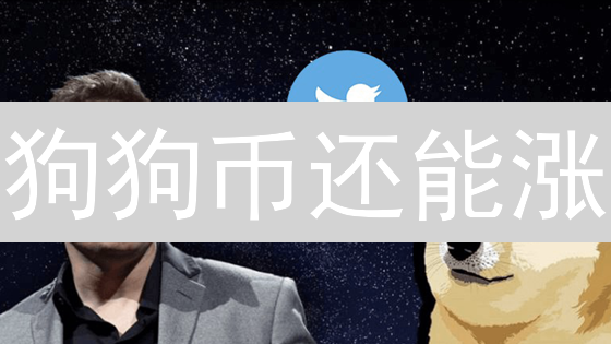 狗狗币还能涨？2024年价格暴涨的五大关键因素！
