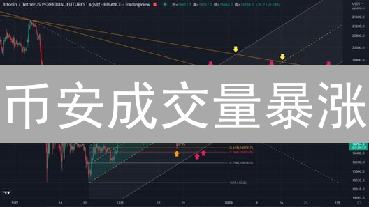 币安成交量暴涨？3分钟掌握查询技巧！